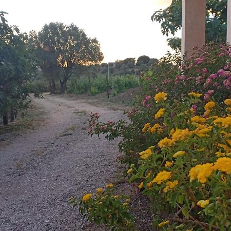 Agriturismo Muristene Dorgali Exterior foto