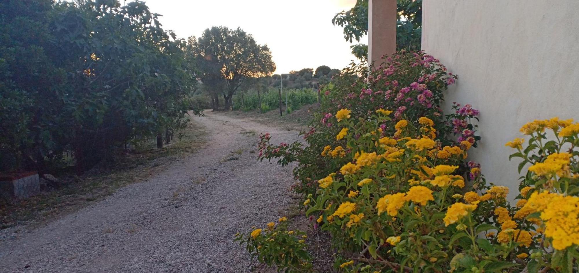 Agriturismo Muristene Dorgali Exterior foto